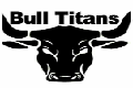 Bull titan